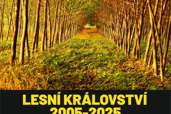 Výstava Lesní Království 2005-2025